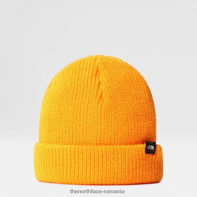 N4P80J101 portocale The North Face tnf freebeanie