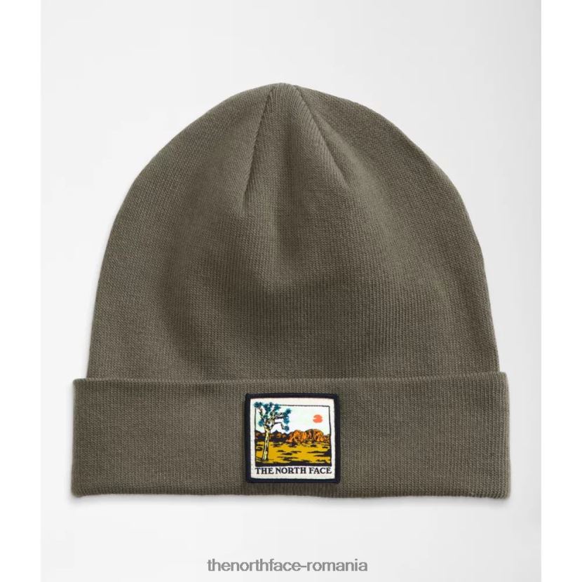 N4P80J3911 cimbru The North Face beanie brodata peisaj