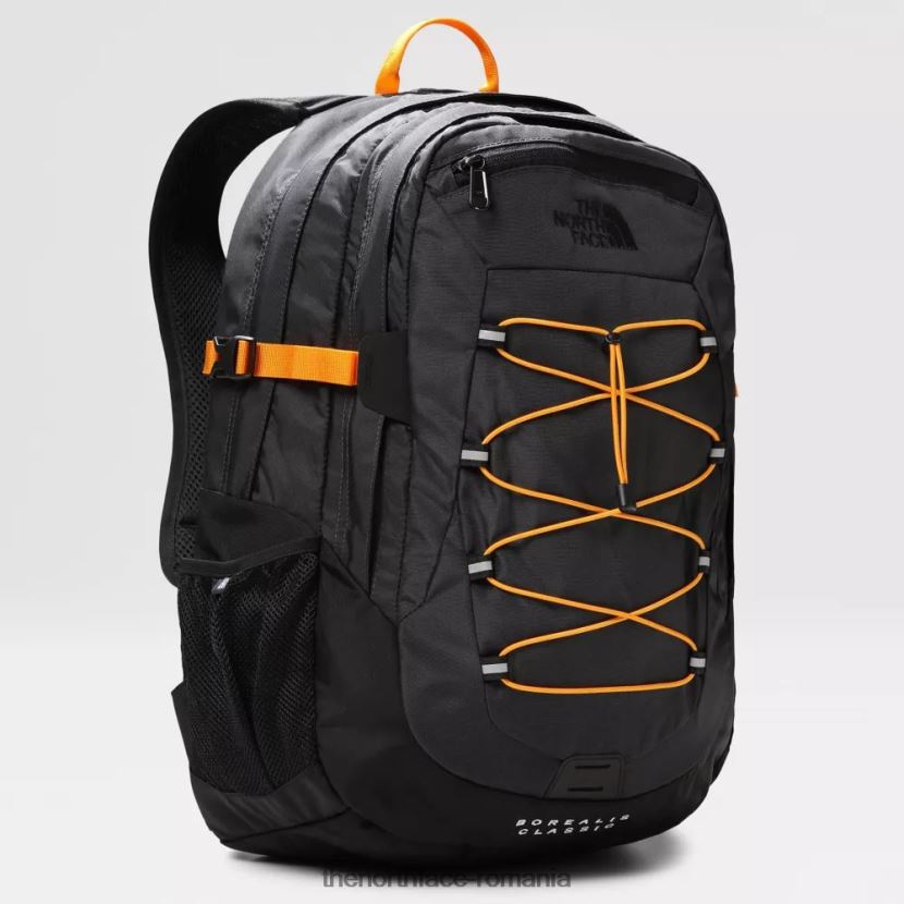 N4P80J2381 gri The North Face rucsac clasic borealis