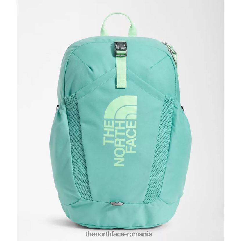 N4P80J3715 wasabi The North Face rucsac mini pentru tineret