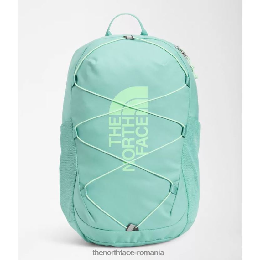 N4P80J3719 wasabi The North Face rucsac pentru tineret bufon