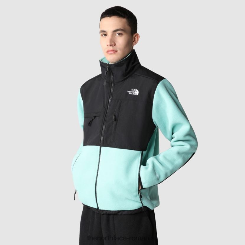 N4P80J1678 wasabi The North Face jacheta denali barbati